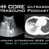 Pulmonary ultrasound 2022 update. Part two: lung infections.