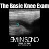The Basic Knee Exam