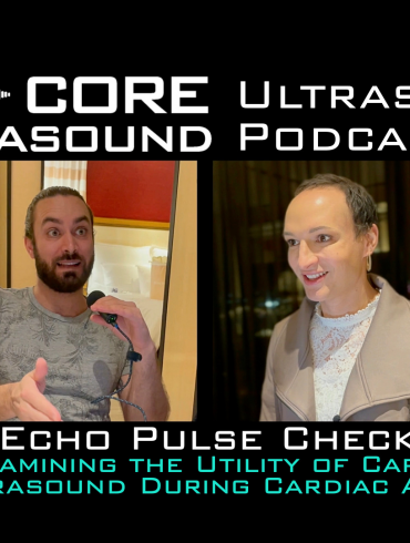 Is the echo pulse check DNR? Examining the utility of cardiac ultrasound during cardiac arrest