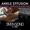 Ankle Ultrasound - Aspiration and injection - Core Ultrasound